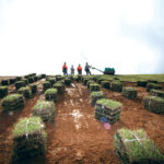 株式会社 グリーンクラフトは、こんな会社です!